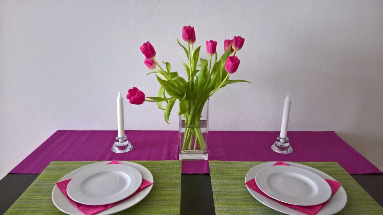 Apartman Zderadova 브르노 외부 사진